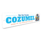 Cozumel Dive Into Paradise Home Of Mesoamerican Reef Sign