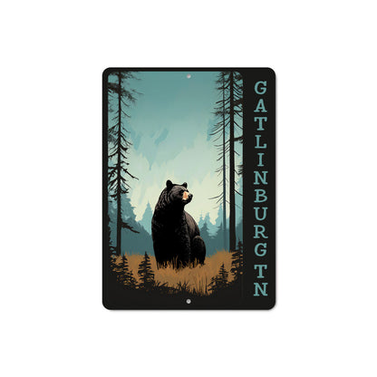 Bear Gatlinburg Tennessee Sign