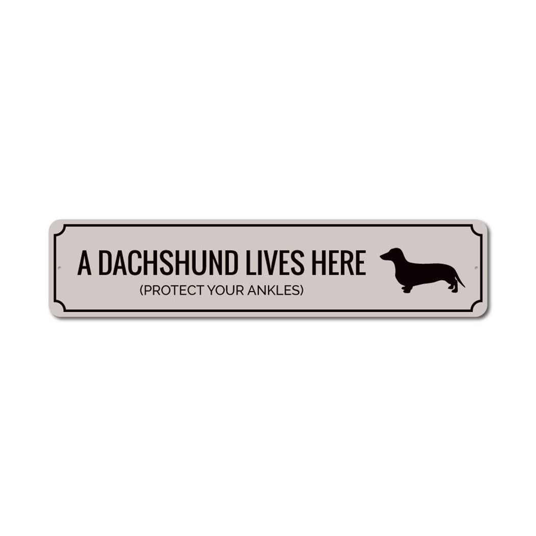 Funny Dachshund Metal Sign