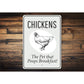 Chickens Pet Eggs Sign