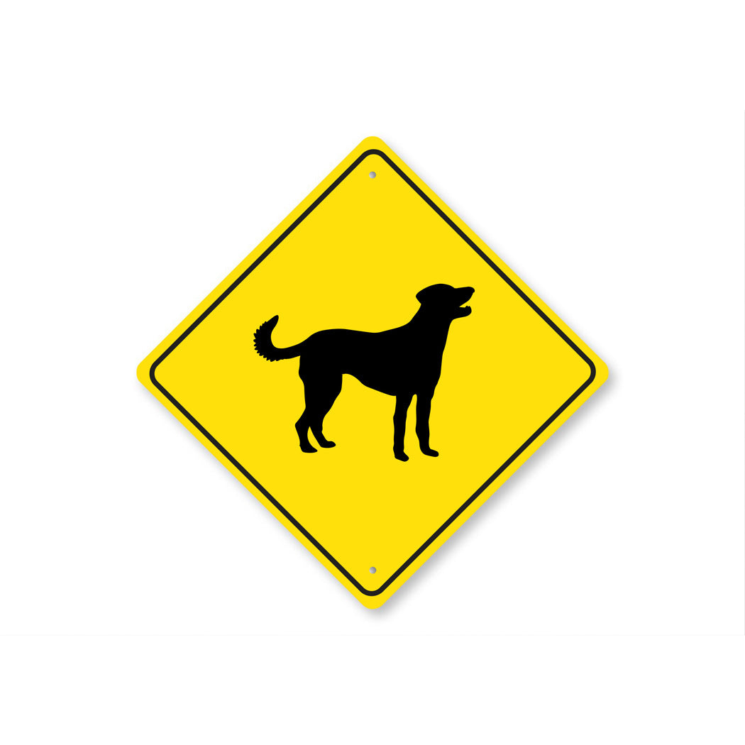 Blue Lacy Dog Diamond Sign