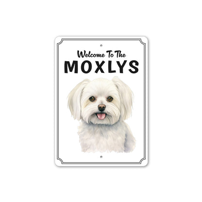 Maltese Welcome To Personalized Sign