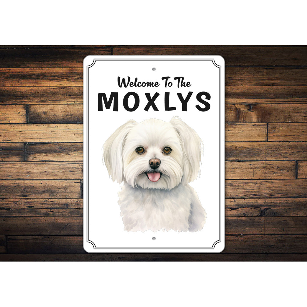 Maltese Welcome To Personalized Sign