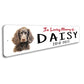 American Water Spaniel In Loving Memory Pet Sign