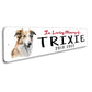 Borzoi In Loving Memory Pet Sign