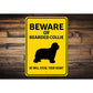 Bearded Collie Dog Beware He Will Steal Your Heart K9 Sign