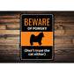 Beware Of Pomsky Dog Don't Trust The Cat Either Sign